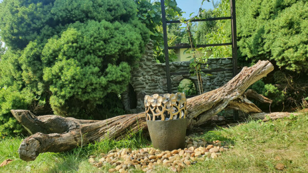 26cf3fa42bbcabb74cc1fe3d1c021cdc.jpg 6803e34f5c6b4923451362dfb0725494