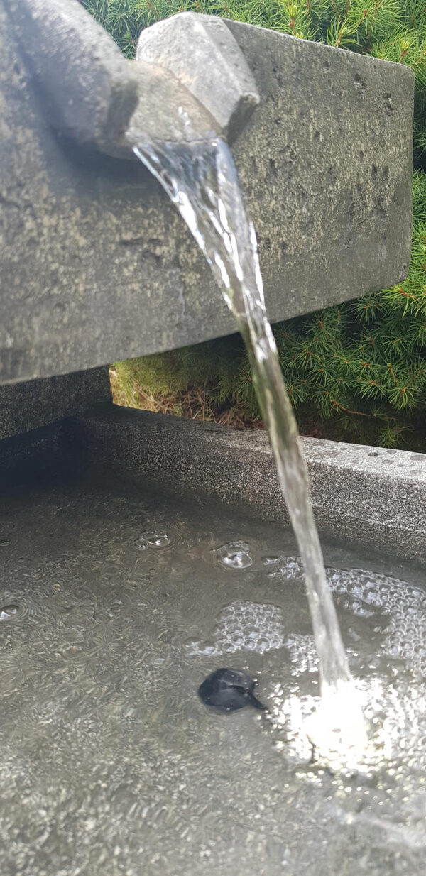 0553e25ab7098bd3ba856b91e8b441b6