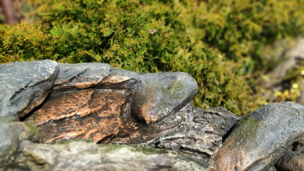 07a798ac57d2d8b9d8871fb358e9433c.jpg f0eed6c1257bb17cf9d955516cba265c