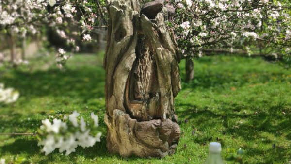 2986e689686a74e24321dd8e1a683786