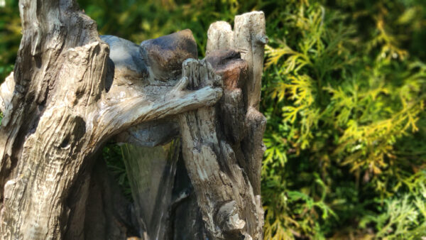 d3e35a848edfdb5e6e6cb37fe1b3dc7b