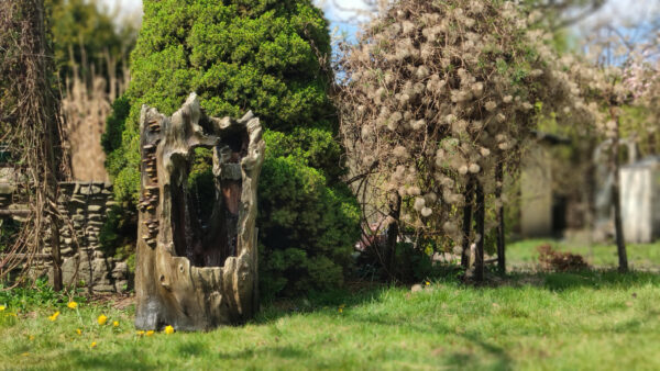 6b440aefadf0209d6456a35a5afe64b3