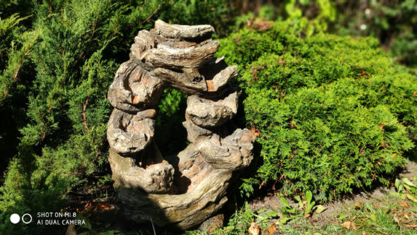 0241ea6a2e074de86ad4b27c9b106d71