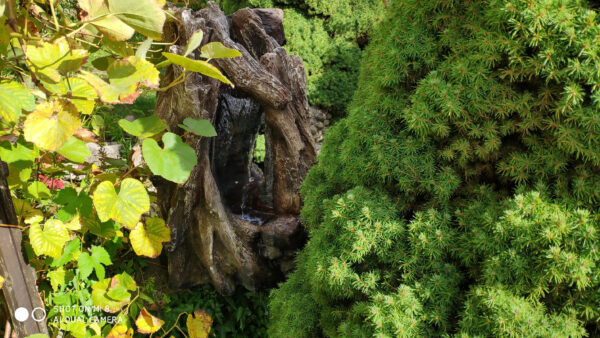 6e674839146a42afe54b8053389076a0.jpg aa75978d994eb7751c20afacd01f497e