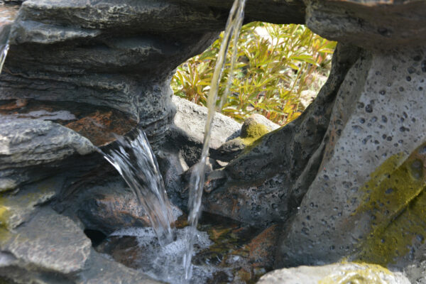 c005d0642e1b26679768a7d64e980a04