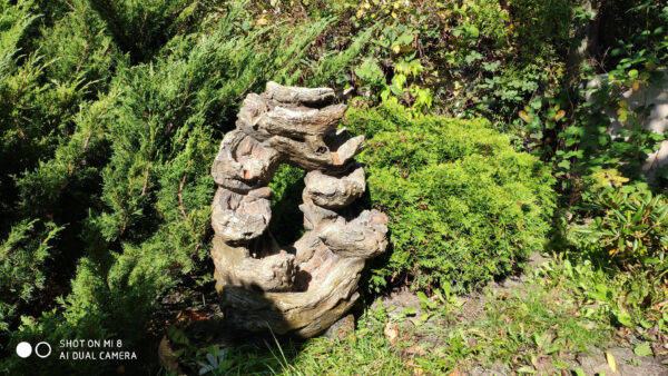 0c49e126014788a702ddaeff6345779c