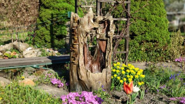 b97c47b5b11e9643ba611305ce9831bf