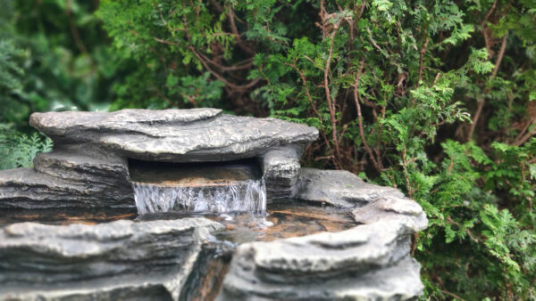 ca9df27ef08d5dde58d63a82bf2c0956