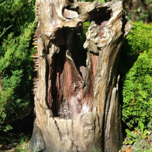 55a175c5a475f9c29ceb2ab9dae5024e