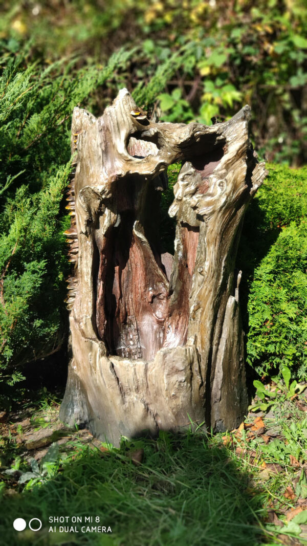 55a175c5a475f9c29ceb2ab9dae5024e