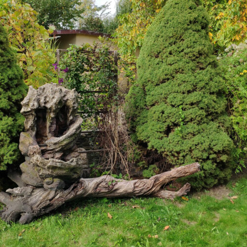 d62c5fe73133847a9024323040e2e75e