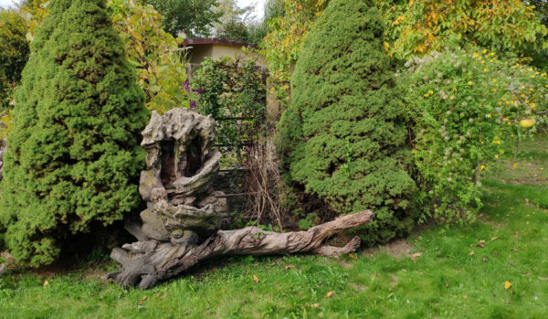 91e368f997e24df53e5325352e3e74c1.jpg d62c5fe73133847a9024323040e2e75e