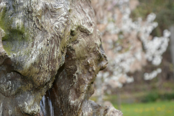 930c0823b980841f59051f53555edd15.jpg f14125814e153f7bb53c24f6445ad4d1