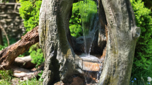 b686dae2f3385c1a1f2b2b03862a194b.jpg 7ae052552473557da274ccecd64235c4