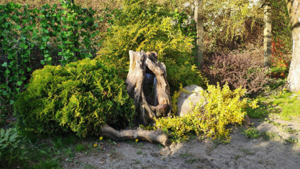 c12af0e1195d27435396ffe02ae61c23.jpg ae8c566275e67b878c02f060c8341c7f