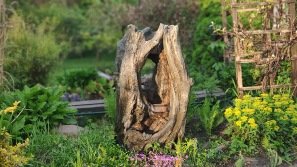 c95a27129cbc7c41dfc432a39b973971.jpg 6880c54d00e9182c1d47b0f2f0df2fe7