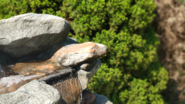 d9ccfbba87f88e4e6bfd5353251d93ef.jpg 05cc8b9d89a70079019c0592a96e8ae7