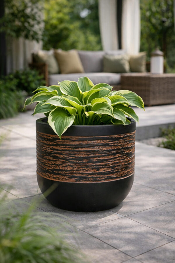 b3450a1158ffc04b19708e0558f5fa0c