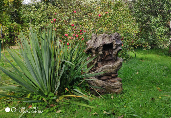 df67cbea4c947bd2bc95d63d00b0c888.jpg cf3f6fbf6aec392be7282e0de901bd5a