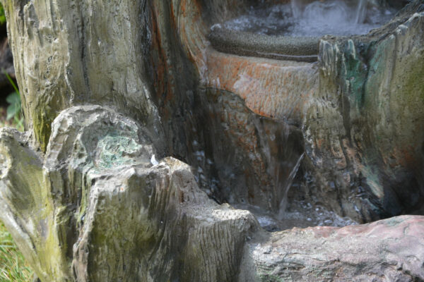 ce69530ee423dbf0e2a7734ece9dedf1