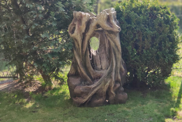 f81e105653984a49ab6ddf926ed047a8.jpg 73142a2aa7b5e19c6c92b1068482b1d4